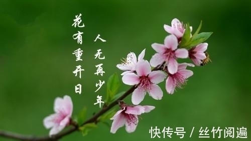 美好时光#世人皆知“花有重开日, 人无再少年”, 其实后面的两句也很经典